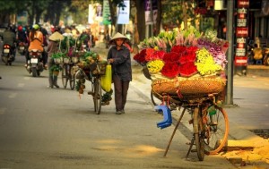 photo-fleures-hanoi-vietnam