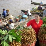 photos-de-marchands-flottants-a-can-tho-vietnam