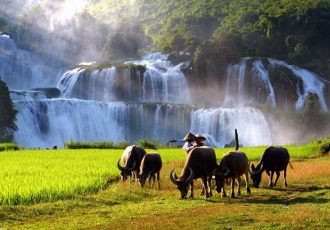 belle-photo-de-cascade-de-ban-gioc-vietnam