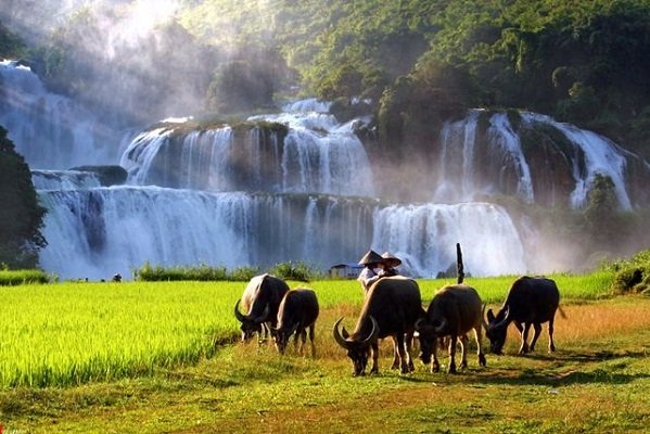 Belle photo de cascade de Ban Gioc Vietnam