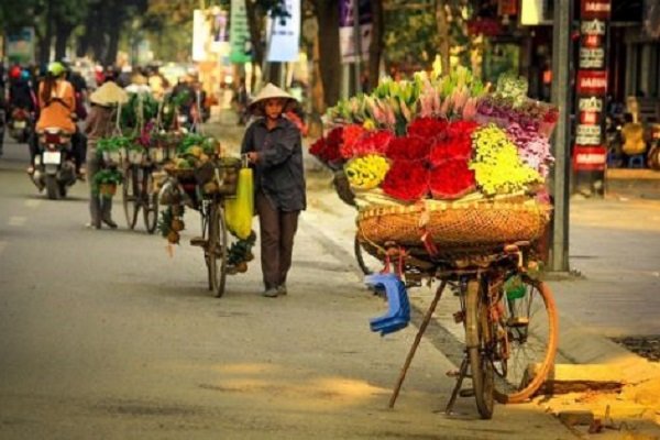 photo-hanoi-saison-des-fleurs-vietnam-voyage