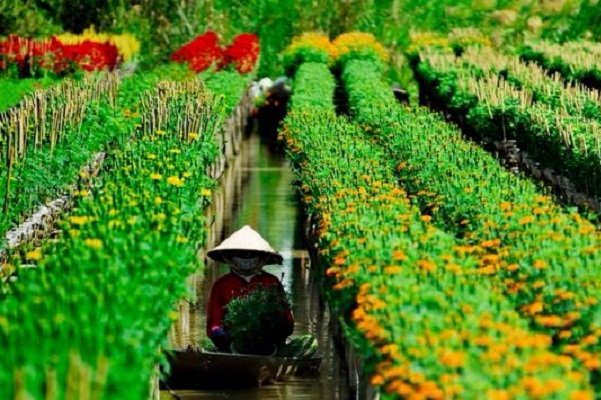 Sa Dec région des fleurs sud Vietnam
