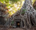 voyage au cambodge belle photo
