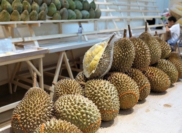 Durian fruit exotique du Vietnam