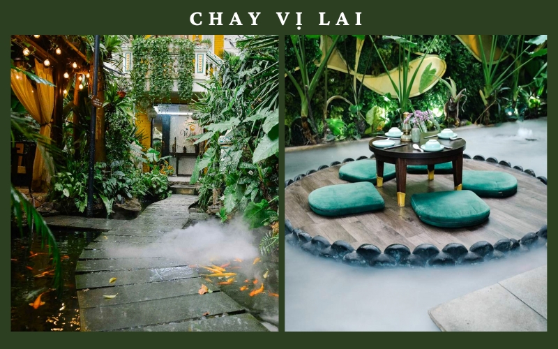 Chay Vị Lai