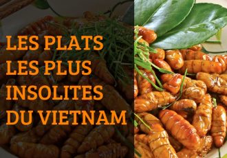 Les plats les plus insolites du Vietnam