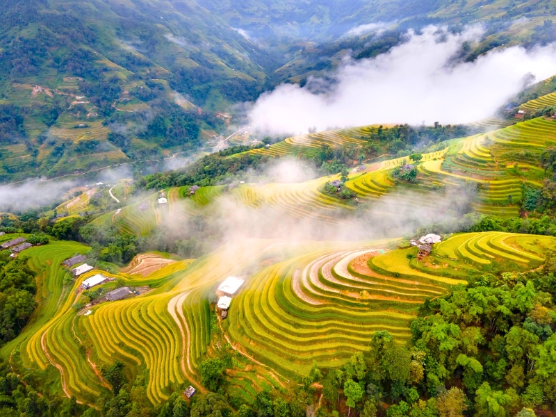 La beauté envoûtante de la saison des rizières dorées à Ha Giang en septembre