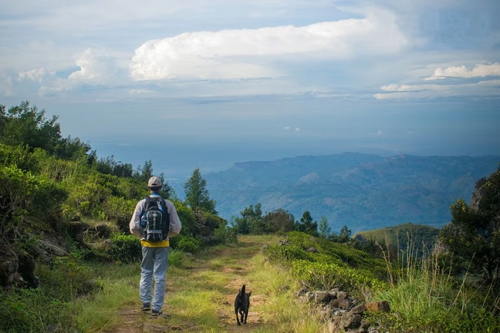 Bandarawela-Trekking-voyage-sri-lanka