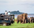 Jeep Safari in Sri Lanka voyage