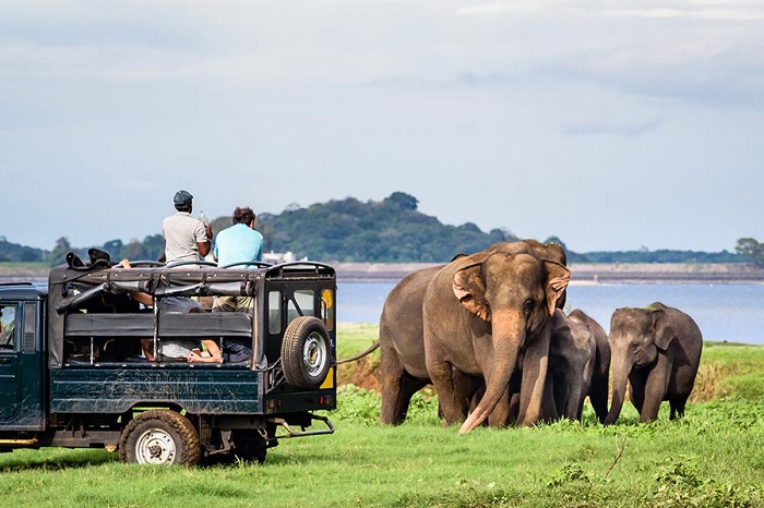 Jeep Safari in Sri Lanka voyage