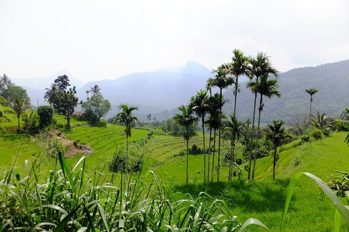 visiter le village Mediwaka Kandy Sri Lanka