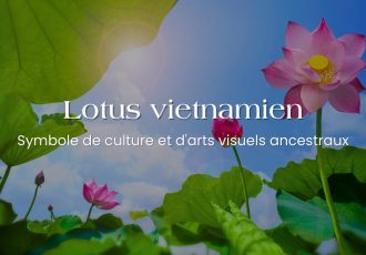 Lotus vietnamien - Symbole de culture et d'arts visuels ancestraux