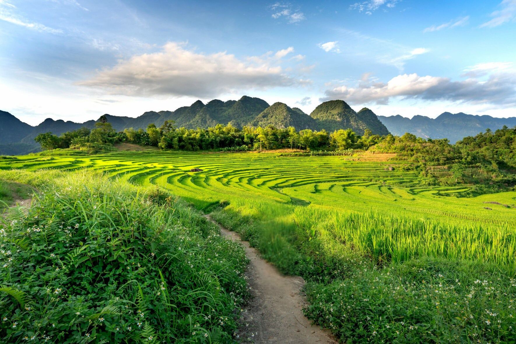 La beauté époustouflante de Mai Châu et Pu Luông