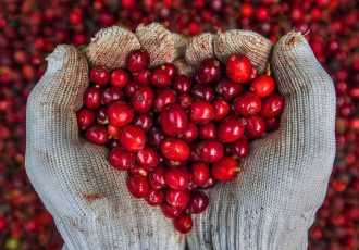 Le Vietnam est le deuxième plus grand exportateur de café au monde.