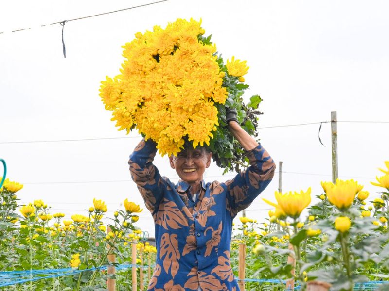 Village de fleurs Tay Tuu - Villages d'artisanat traditionnel autour de Hanoi