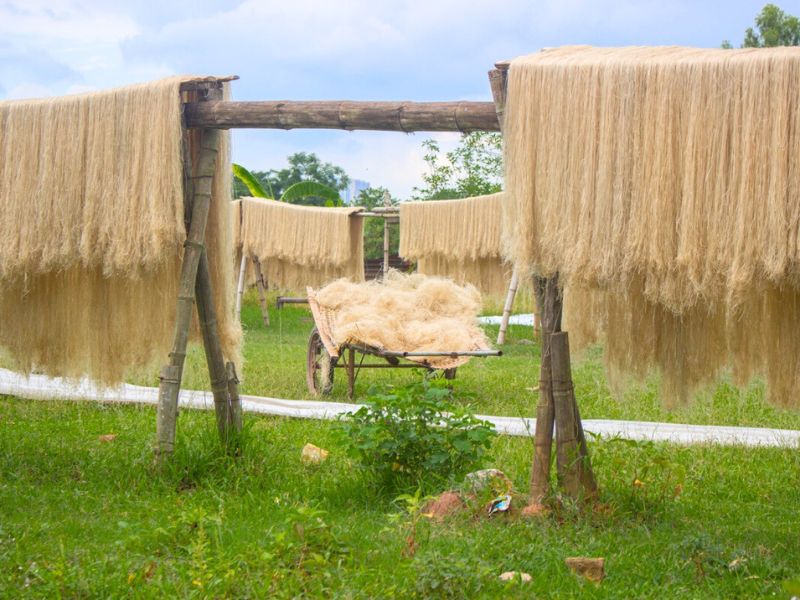 Village de vermicelles de Cu Da - Villages d'artisanat traditionnel à Hanoi